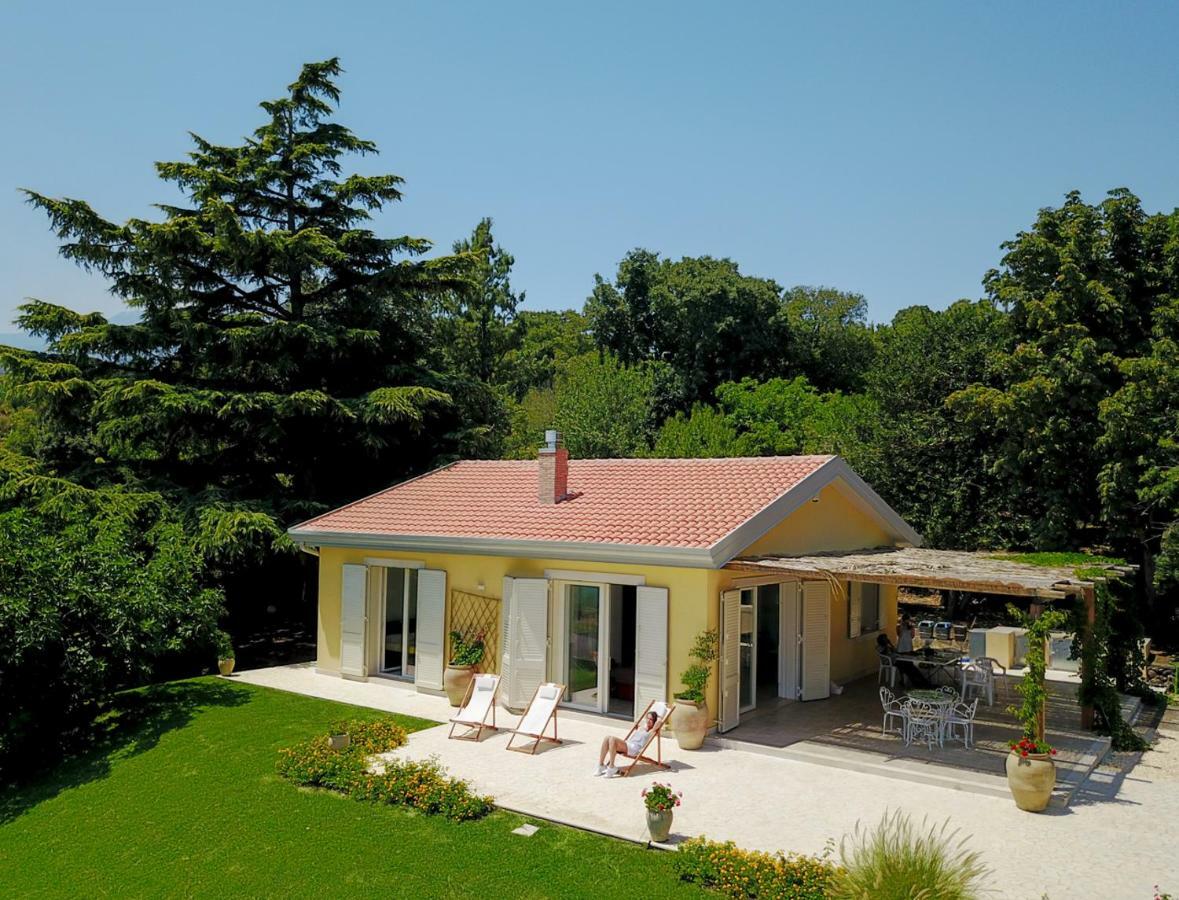 Villa Palm Hill 皮耶迪蒙泰埃特内奥 外观 照片